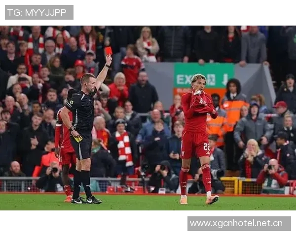 埃基蒂克确认身披9号球衣出战法国世预赛两场赛事 埃基蒂克确认身披9号球衣出战法国世预赛两场赛事